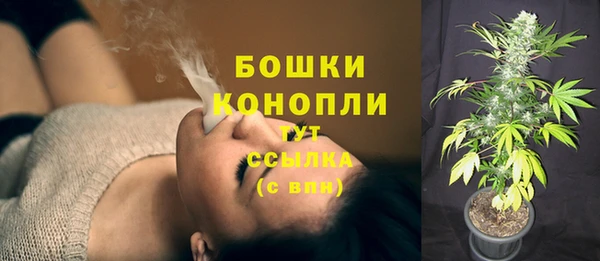 ешки Гусь-Хрустальный
