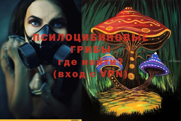 герыч Дмитров
