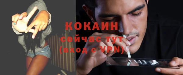 ешки Гусь-Хрустальный