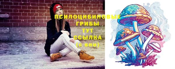крисы Гусев