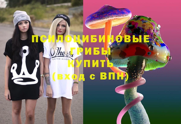крисы Гусев
