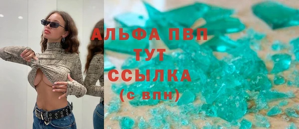 амф Гусиноозёрск